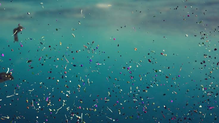 Marine Life Impact